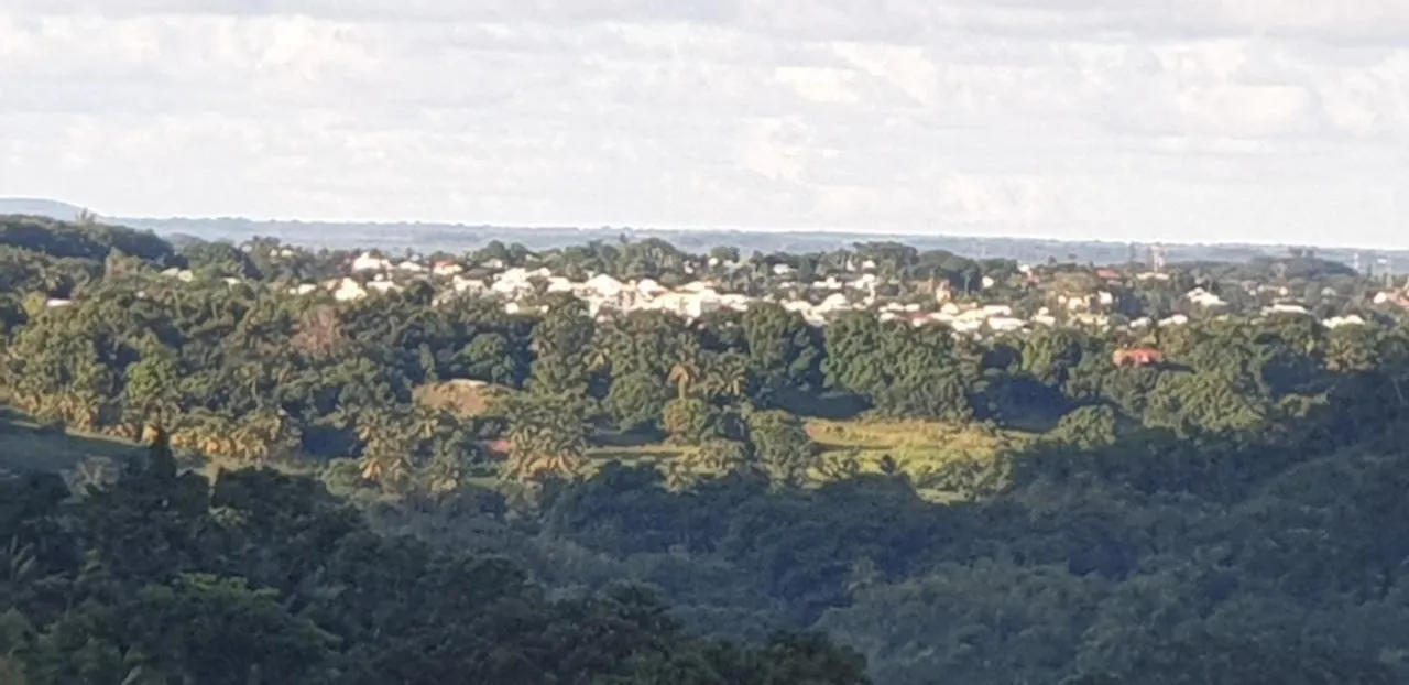 Soleil Levant Petit-Bourg